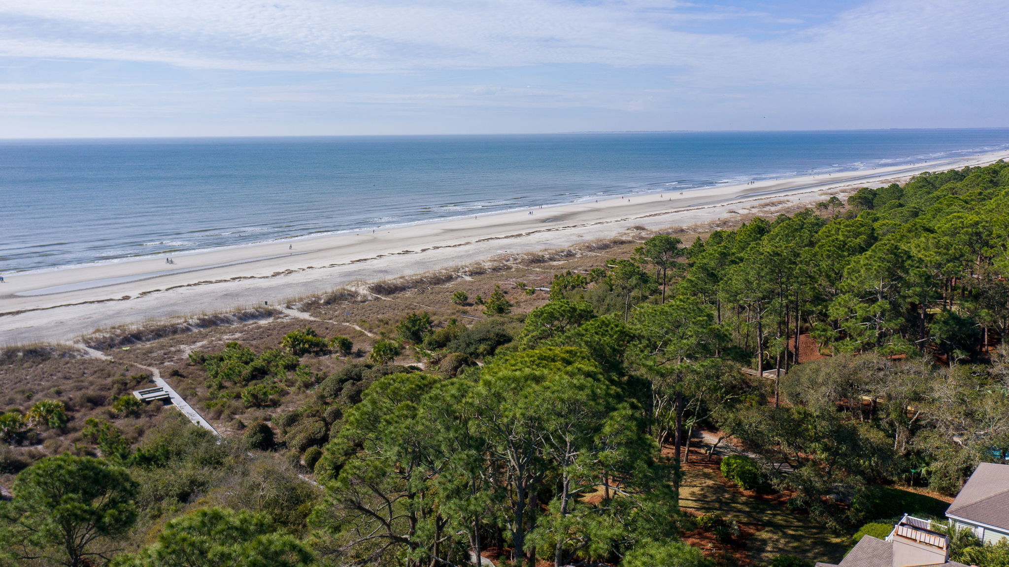 Discover the best spring and summer music events in Hilton Head, Bluffton, and beyond.